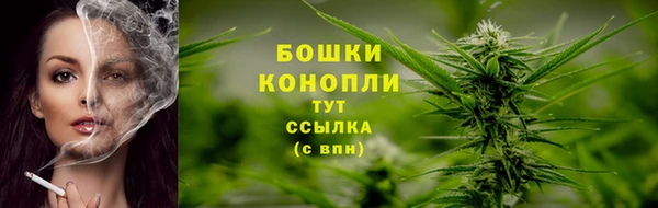 тгк Протвино