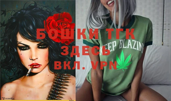 ГАЛЛЮЦИНОГЕННЫЕ ГРИБЫ Абаза