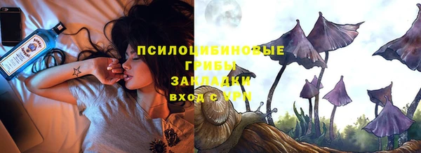 ГАЛЛЮЦИНОГЕННЫЕ ГРИБЫ Абаза